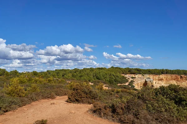 Hermoso Paisaje Con Vegetación Densa Rocas Costa Portugal Buen Tiempo —  Fotos de Stock