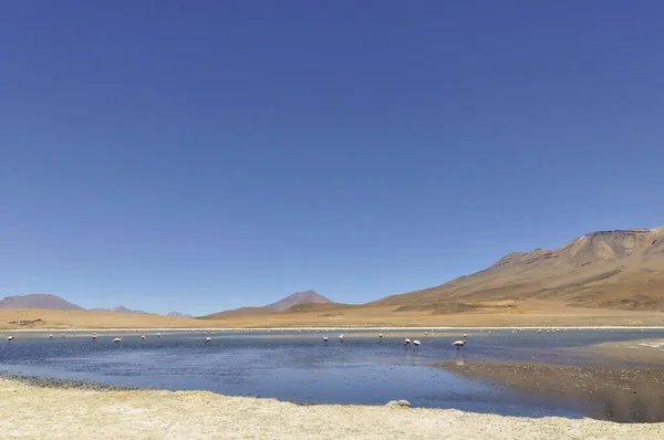 Zdjęcie Bliska Salar Uyuni Boliwii — Zdjęcie stockowe