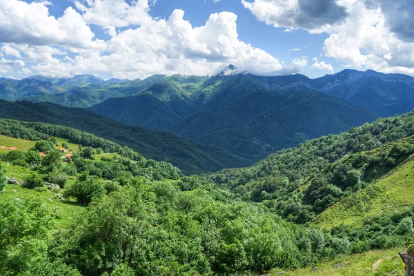 Beau Paysage Verdoyant Dans Parc National Des Picos Europa — Photo