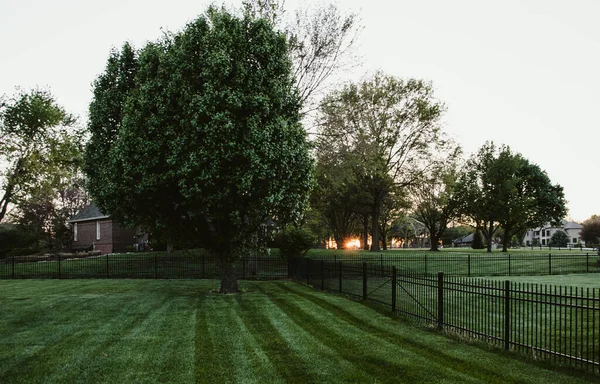 Een Close Shot Van Zonnestralen Stralen Stralen Door Bomen Een — Stockfoto