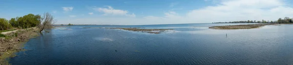 Panoramiczne Ujęcie Jeziora Erie Pobliżu Lasu Ameryce Północnej — Zdjęcie stockowe