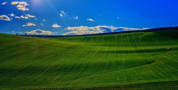 Ein Faszinierender Blick Auf Grüne Felder Hang Einem Warmen Sonnigen — Stockfoto