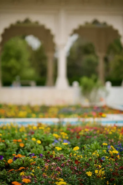 Eine Vertikale Aufnahme Bunter Dekorativer Blumen Einem Stadtpark — Stockfoto