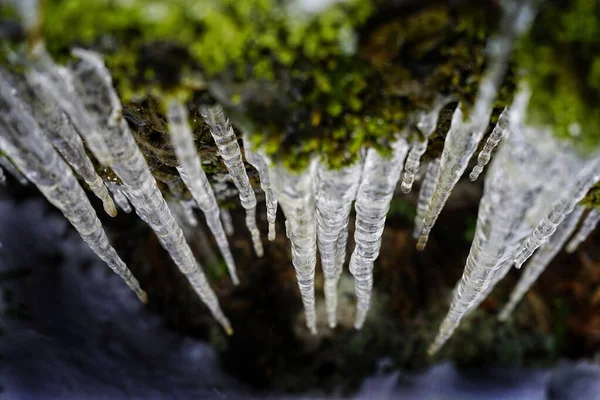 在布满苔藓的悬崖上挂着一张高角度的冰柱照片 — 图库照片
