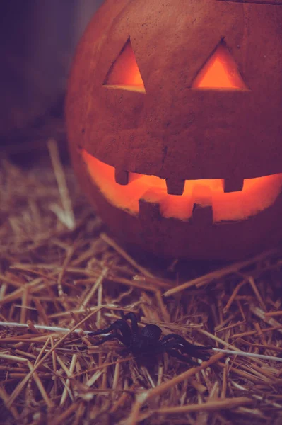 Vertikal Bild Svart Leksaksspindel Och Snidad Pumpa För Halloween Dekorationer — Stockfoto
