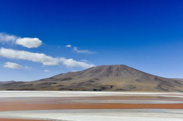 ボリビアのサラーデ ウユニの閉鎖ショット — ストック写真