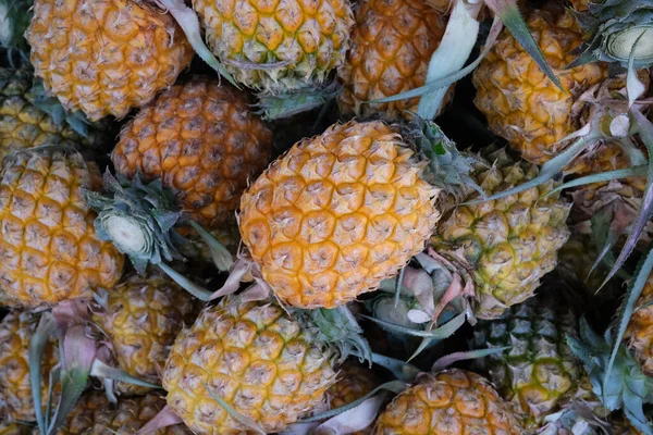 Abacaxi Para Venda Mercado Chiang Mai Tailândia — Fotografia de Stock