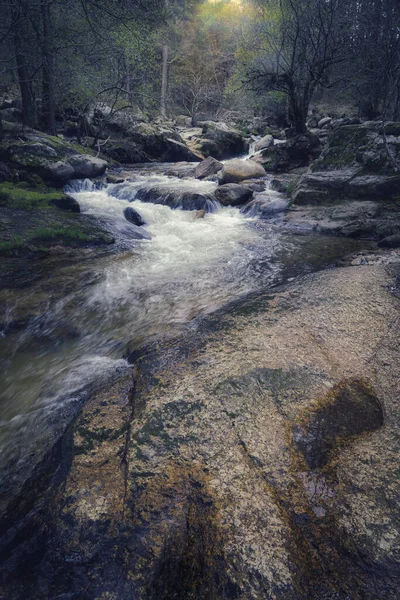 Rzeka Przepływająca Przez Las Jesienią — Zdjęcie stockowe