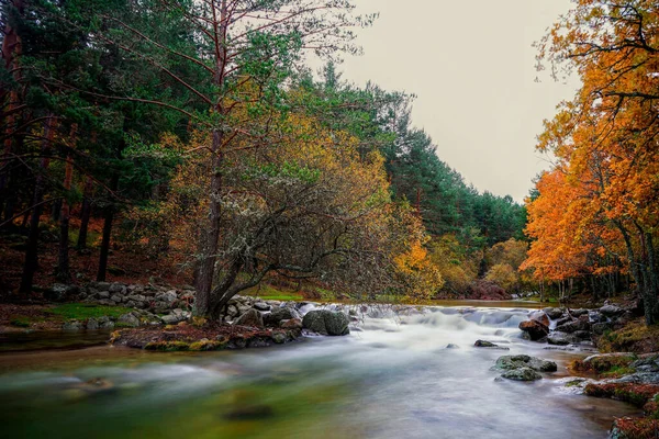 Río Que Fluye Través Del Bosque Otoño — Foto de Stock