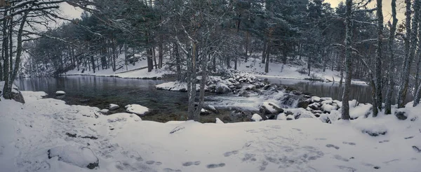 Rio Que Corre Pelos Bosques Inverno — Fotografia de Stock