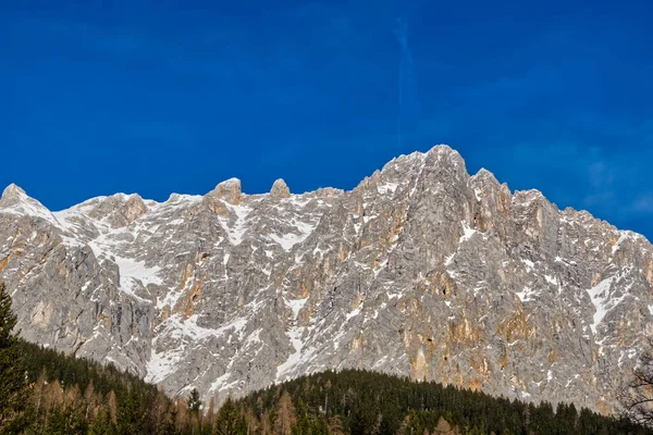 Avusturya Güneşli Bir Günde Ormanlarla Kaplı Güzel Bir Dağ Manzarası — Stok fotoğraf