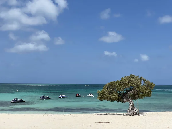 Uma Bela Foto Costa Aruba Dia Ensolarado — Fotografia de Stock