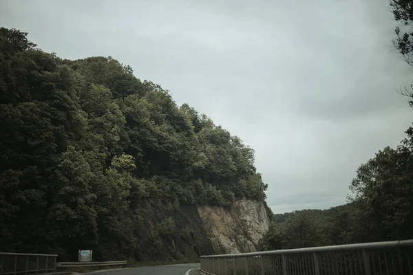 Une Route Dans Une Forêt Montagne — Photo