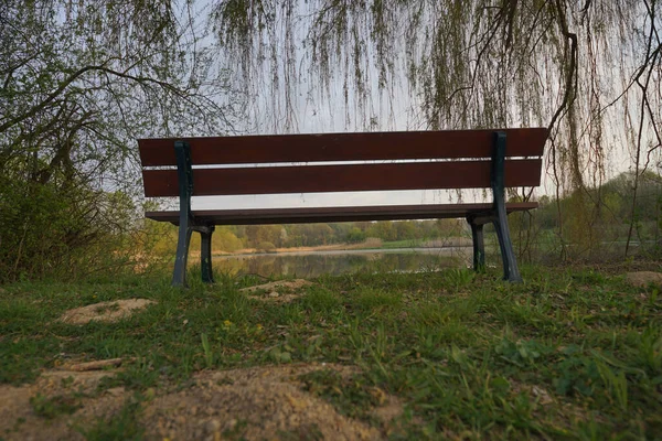 Träbänk Parken Våren — Stockfoto