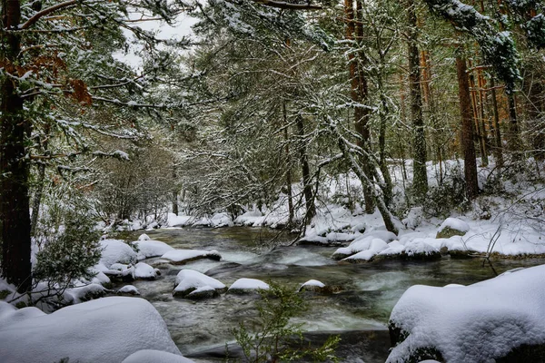 Une Rivière Qui Coule Dans Les Bois Hiver — Photo