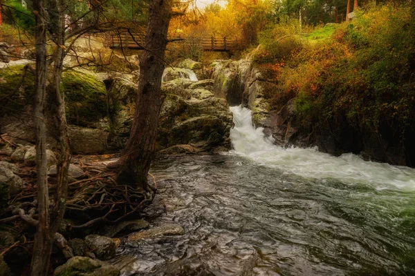 Ένα Ποτάμι Που Ρέει Μέσα Από Δάσος Φθινόπωρο — Φωτογραφία Αρχείου