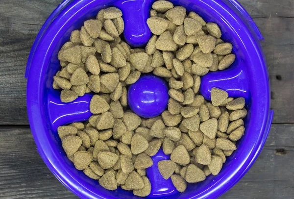 Пластиковая Тарелка Медленно Ест Сбалансированной Пищей Собак Кошек — стоковое фото