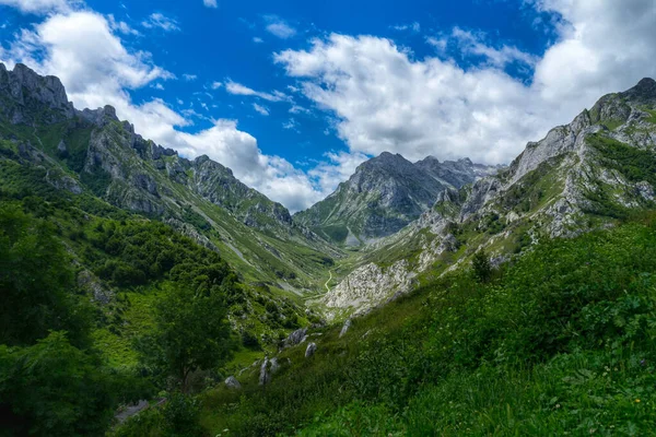 Uma Bela Paisagem Verde Parque Nacional Picos Europa — Fotografia de Stock