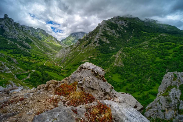 Picos Europa Ulusal Parkı Nda Güzel Yeşil Bir Manzara — Stok fotoğraf