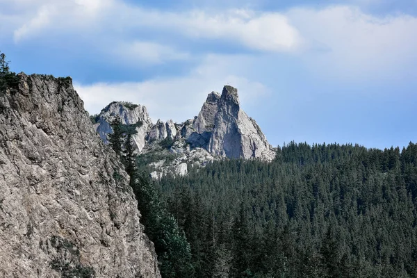 Naturlig Utsikt Över Klippa Med Gran Skog Och Stenig Berg — Stockfoto