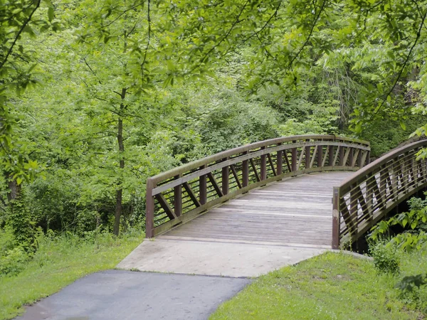 Schöne Aufnahme Eines Fußweges Wald — Stockfoto