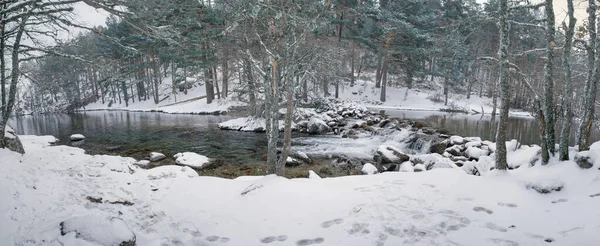 雪に覆われた森の中を流れる川のパノラマ写真 — ストック写真