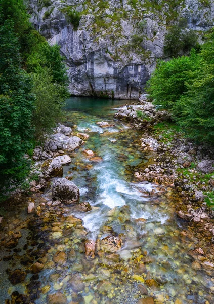 Vertical Shot Beautiful River Surrounded Rocks Trees — Stock Photo, Image