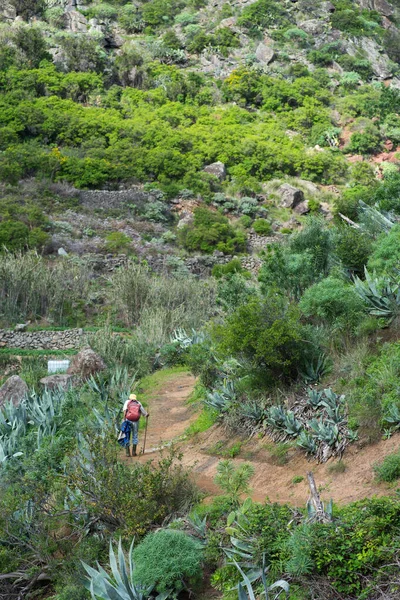 Hiker Climbing Mountain Tenerife — Stock Photo, Image