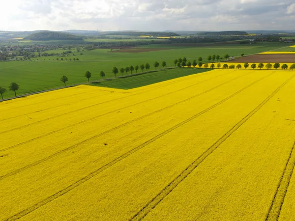 Tir Drone Champs Raps Allemagne — Photo