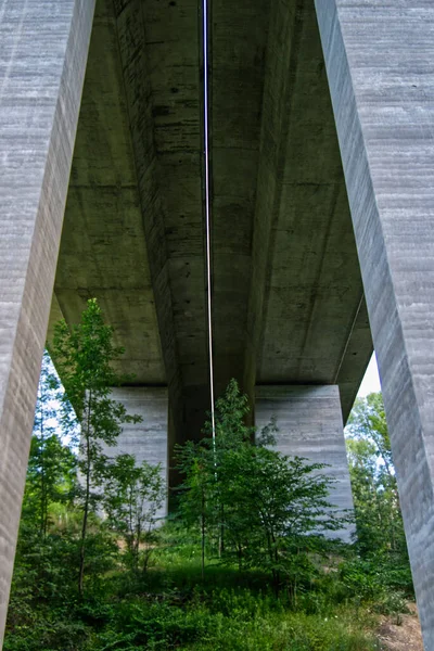 在柱子旁边的桥下生长着美丽的低角度植物和树木 — 图库照片