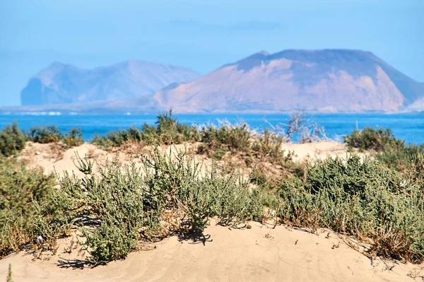 Sebuah Pemandangan Alam Dari Rumput Yang Tumbuh Pantai Famara Beach — Stok Foto