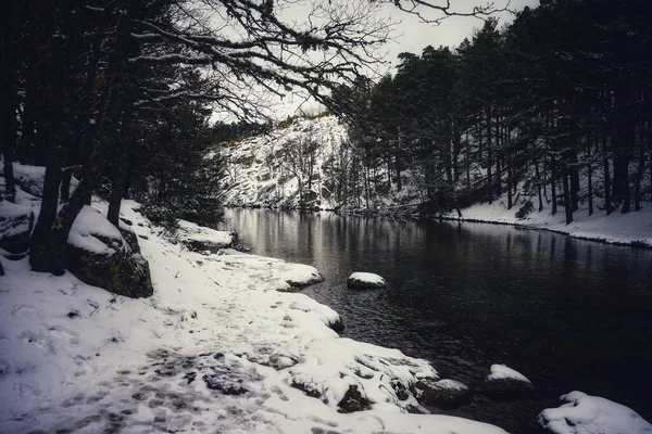 冬に森を流れる川 — ストック写真
