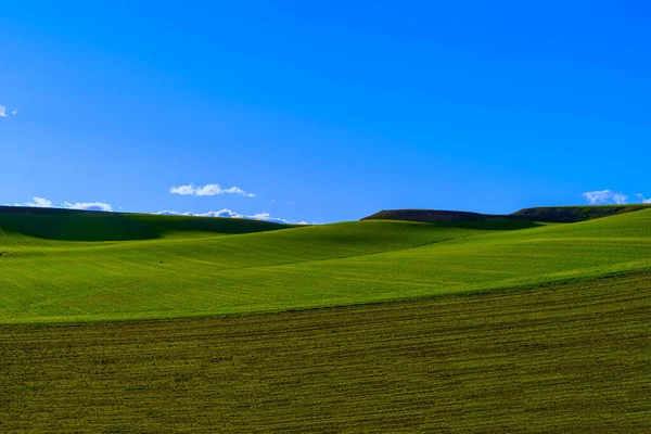 Colpo Ipnotizzante Campi Verdi Collina Una Calda Giornata Sole — Foto Stock