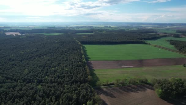 Flygfoto Över Skogen Och Floden Sommaren — Stockvideo