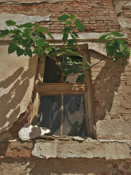 Вертикальний Знімок Вікна Старої Цегляної Будівлі — стокове фото