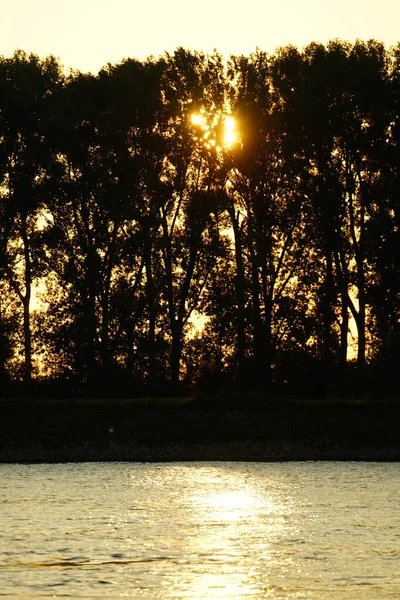 Close Uma Paisagem Com Lago Silhuetas Árvores Durante Pôr Sol — Fotografia de Stock