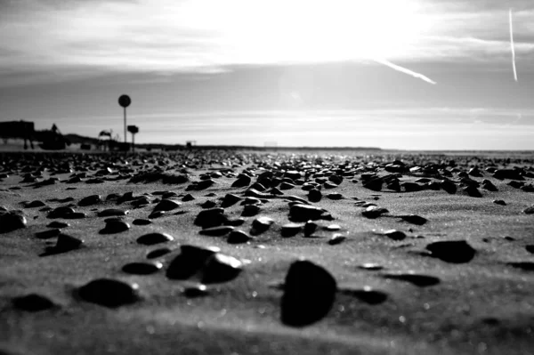Grayscale Shot Small Rocks Sandy Seashore — Stock Photo, Image