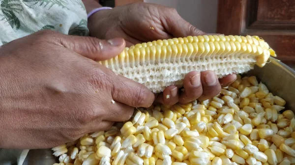 Closeup Shot Bulk Corn Grains — Stock Photo, Image