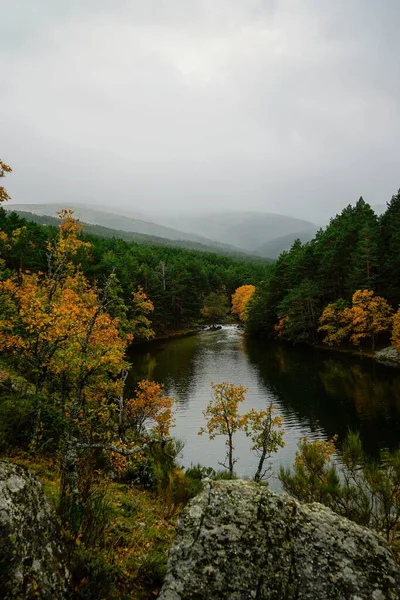 Une Rivière Qui Coule Travers Les Bois Sauvages — Photo