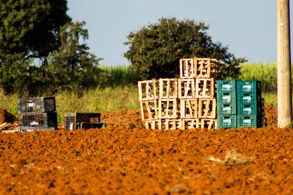 Weinig Stapels Plastic Houten Kratten Boerderij Bij Zonsondergang Oogsten — Stockfoto