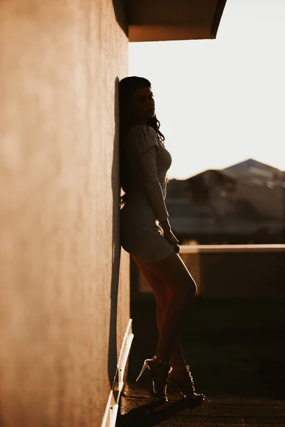 一个黑发女子在阳台上摆姿势的垂直镜头 — 图库照片