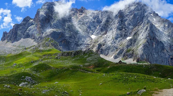 Una Vista Impresionante Los Prados Cubiertos Hierba Que Conducen Montaña — Foto de Stock