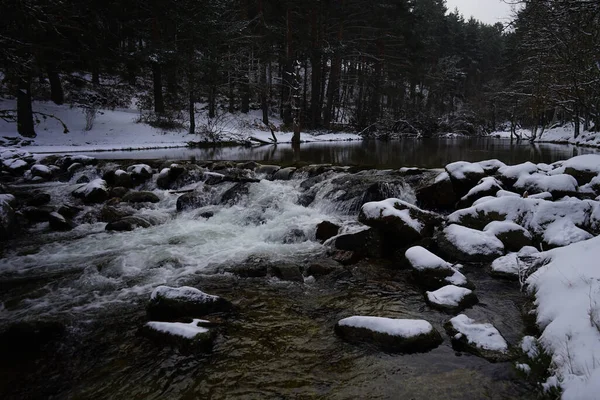 Une Belle Rivière Large Entourée Par Les Arbres Dans Forêt — Photo