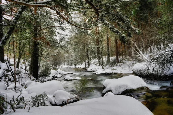 Una Hermosa Vista Río Medio Bosque Cubierto Nieve — Foto de Stock