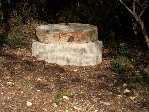 Primer Plano Viejo Pillbox Militar Misterioso Bosque —  Fotos de Stock