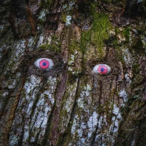 Eine Baumrinde Mit Beängstigenden Augen — Stockfoto