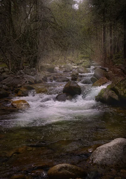 Une Rivière Qui Coule Travers Les Bois Automne — Photo