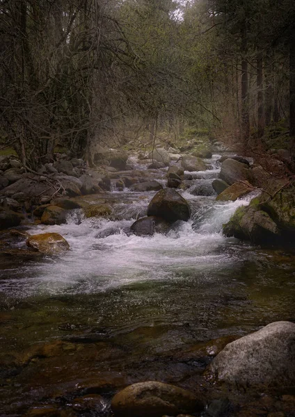 Een Rivier Die Herfst Door Het Bos Stroomt — Stockfoto