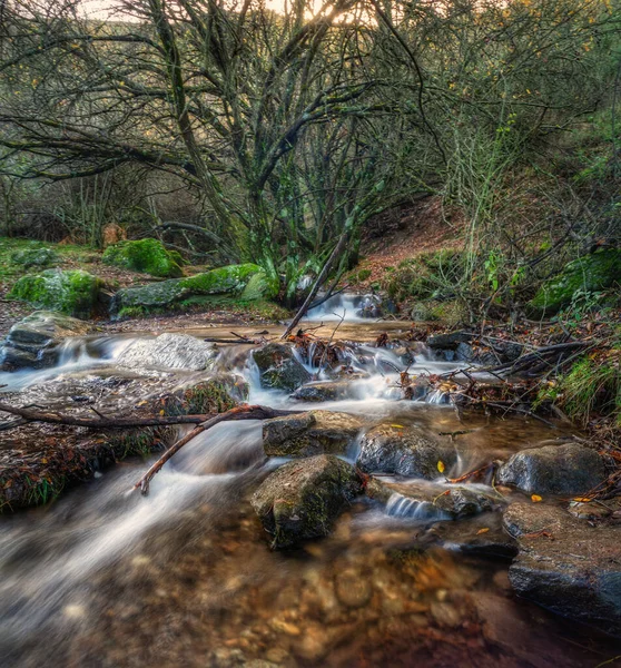 Een Rivier Die Herfst Door Het Bos Stroomt — Stockfoto