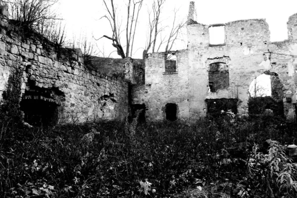 Graustufenaufnahme Der Ruinen Eines Von Bäumen Umgebenen Gebäudes — Stockfoto